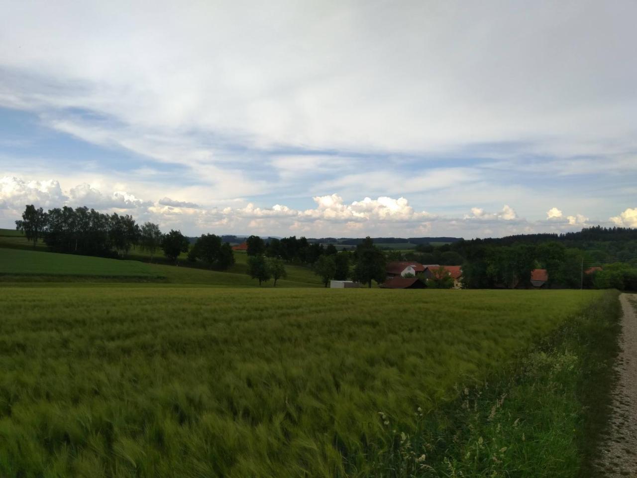 Gasthaus Schachinger Tumeltsham ภายนอก รูปภาพ